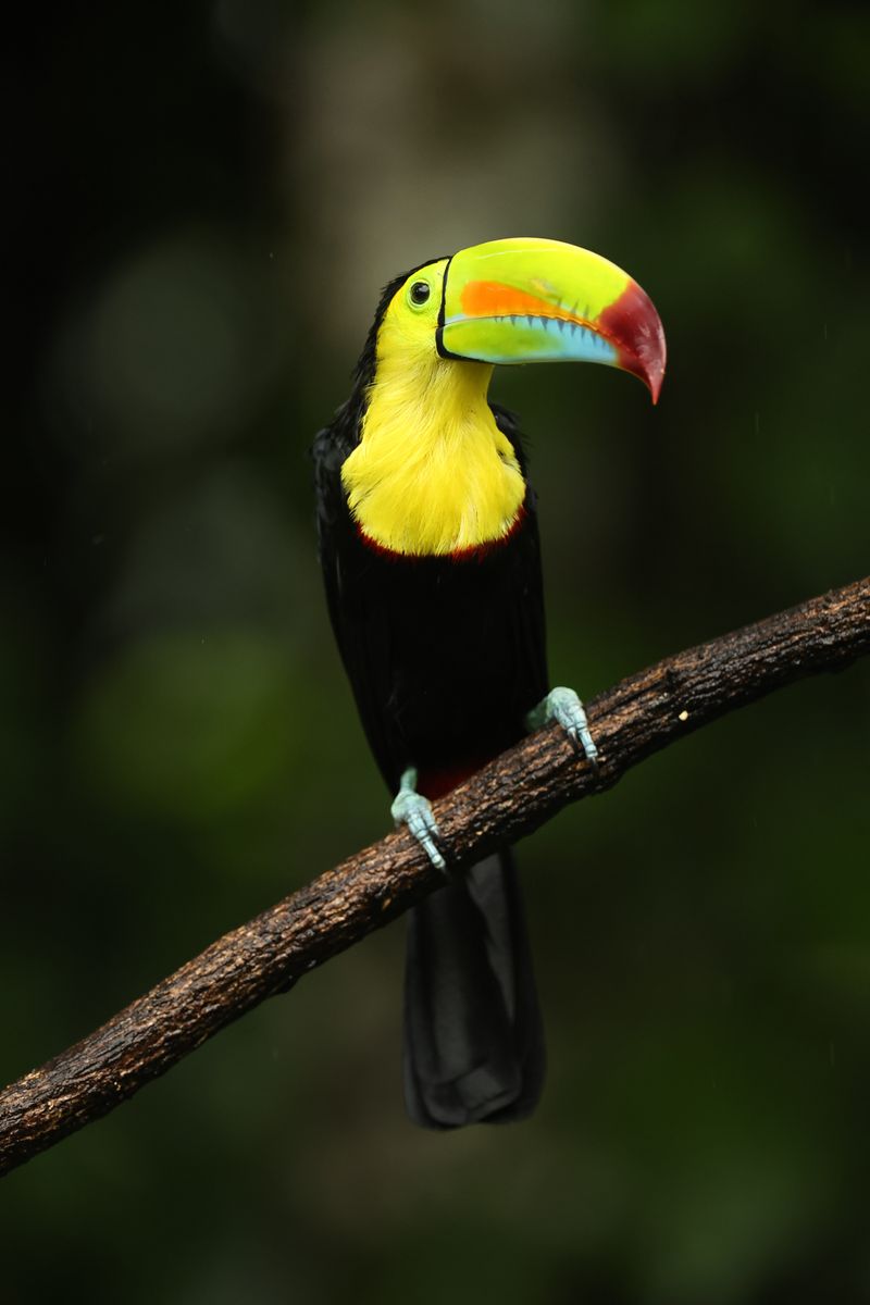 Costa Rica